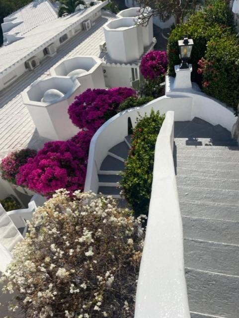 Spectacular Hadas Sunset And Ocean View Manzanillo Exterior foto